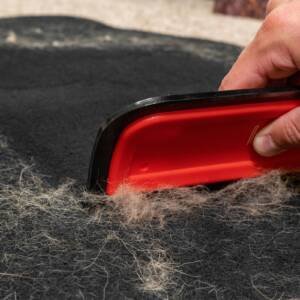 Pet hair removal - mobile detailing Philadelphia add-on service